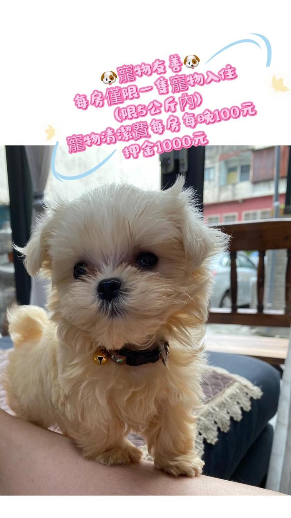 Jinguann B&B Città di Hualien Esterno foto